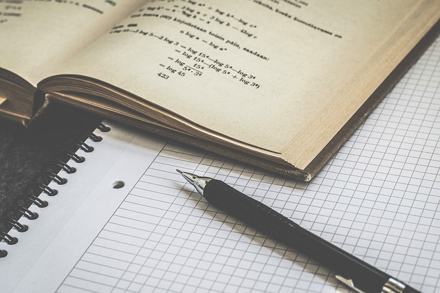 Term paper writing service