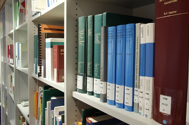 Term paper writing service